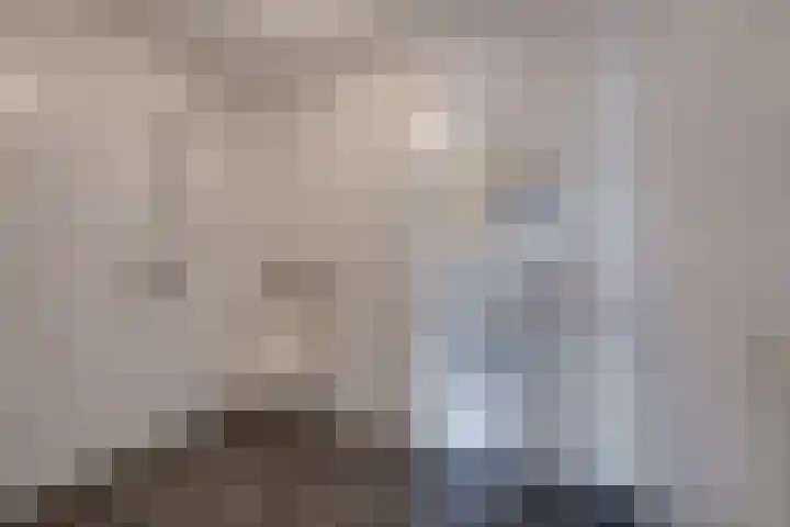 De Reyt 20 Biezenmortel thumbnail 12