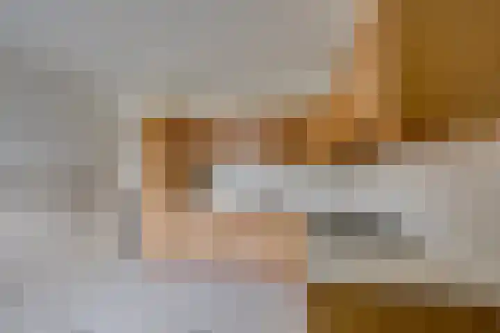 De Reyt 20 Biezenmortel thumbnail 16
