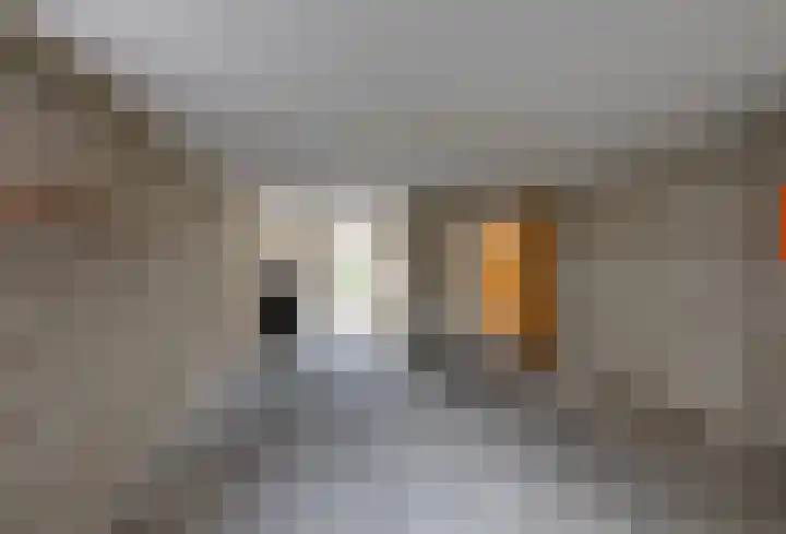 De Reyt 20 Biezenmortel thumbnail 23