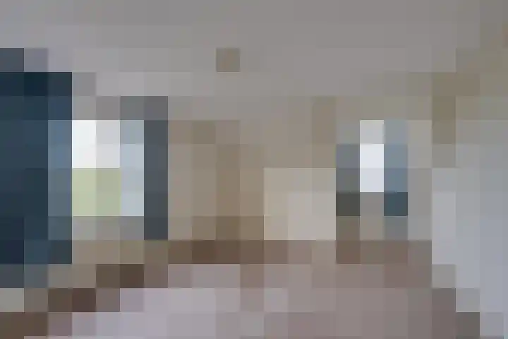 De Reyt 20 Biezenmortel thumbnail 27