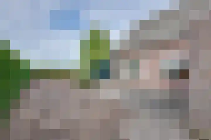 De Reyt 20 Biezenmortel thumbnail 36