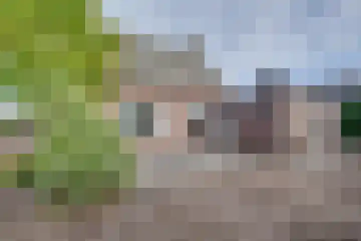 De Reyt 20 Biezenmortel thumbnail 37