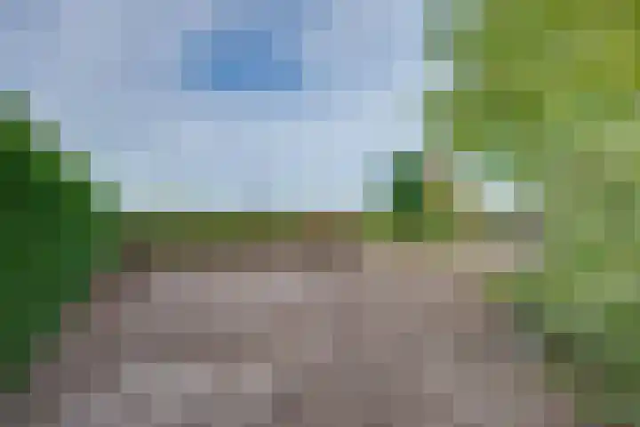 De Reyt 20 Biezenmortel thumbnail 38