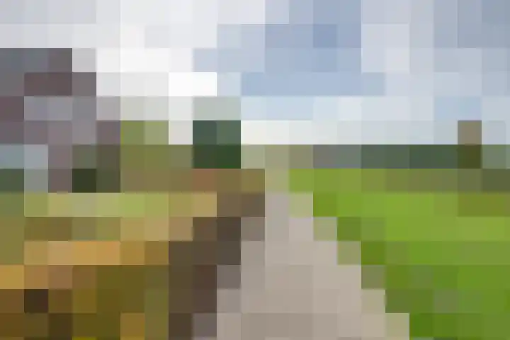 De Reyt 20 Biezenmortel thumbnail 4