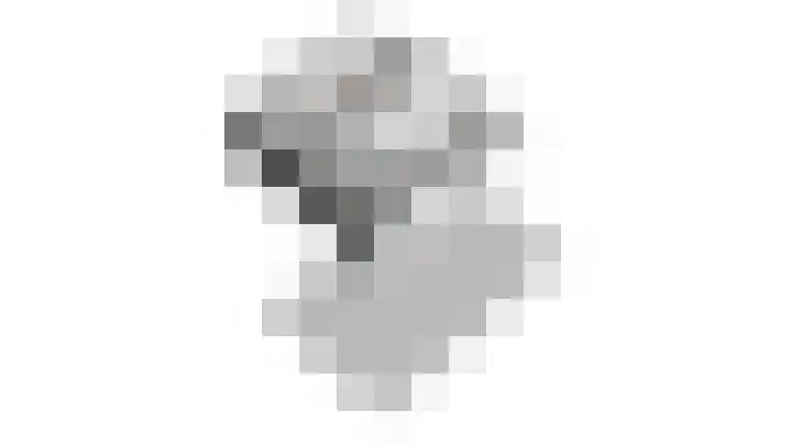 De Reyt 20 Biezenmortel thumbnail 47