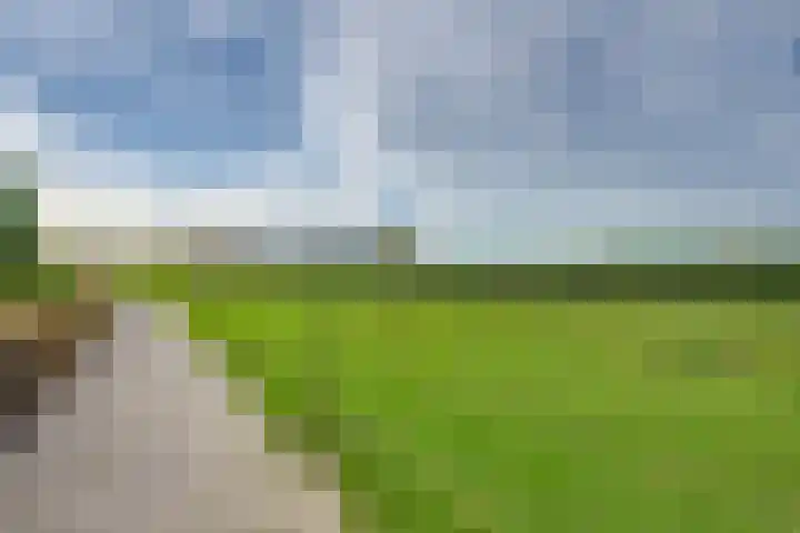 De Reyt 20 Biezenmortel thumbnail 5