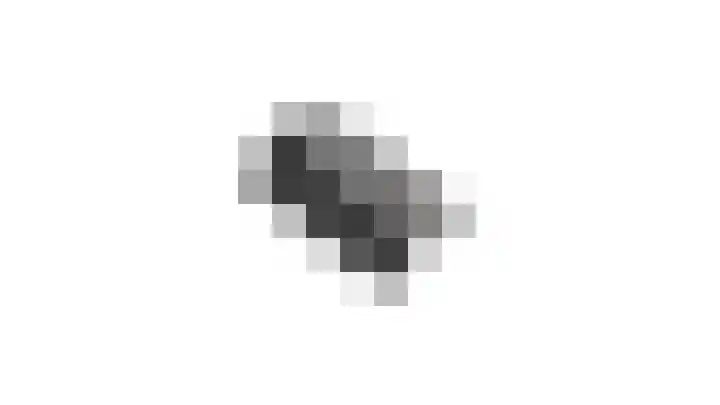 De Reyt 20 Biezenmortel thumbnail 51