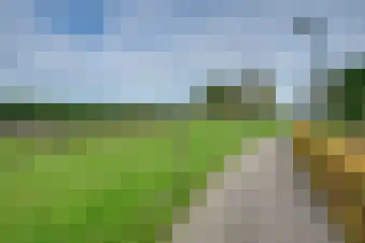 De Reyt 20 Biezenmortel thumbnail 6