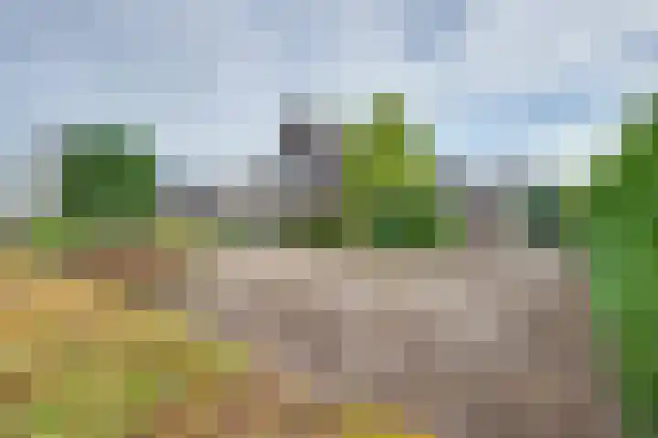 De Reyt 20 Biezenmortel thumbnail 7