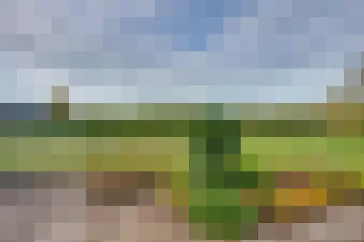 De Reyt 20 Biezenmortel thumbnail 8
