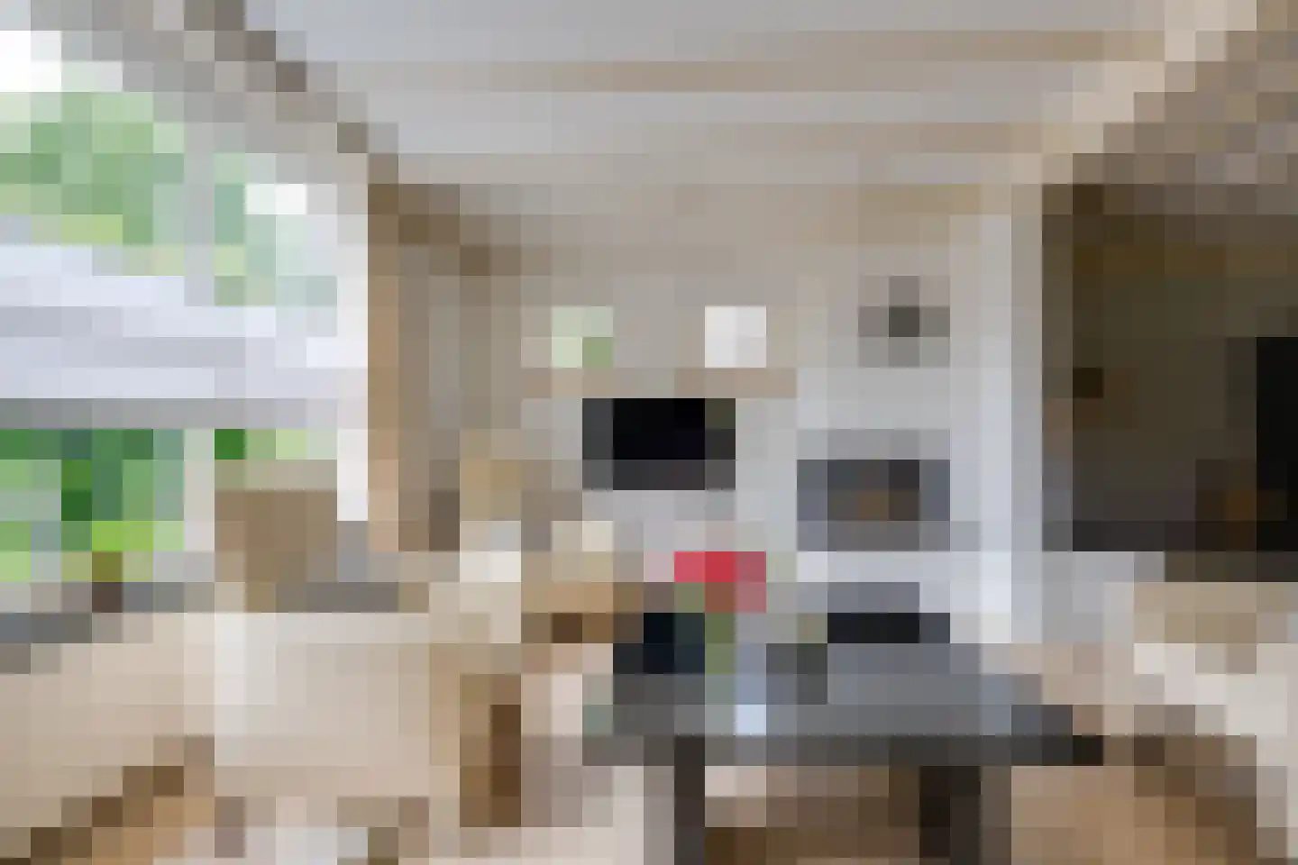 De Reyt 4 Biezenmortel thumbnail 15