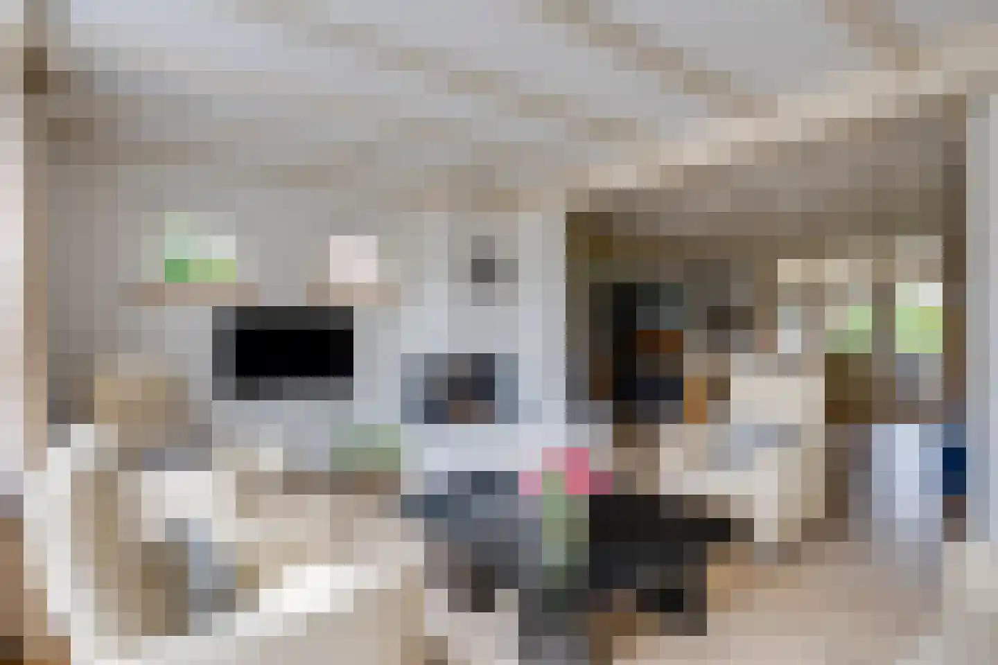 De Reyt 4 Biezenmortel thumbnail 16