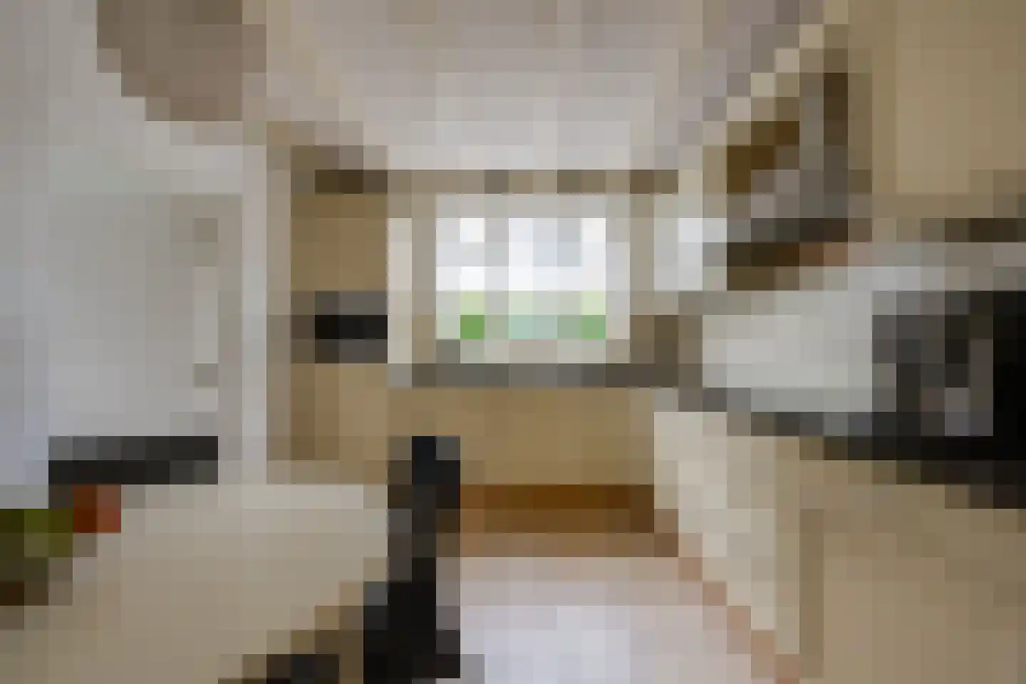 De Reyt 4 Biezenmortel thumbnail 20