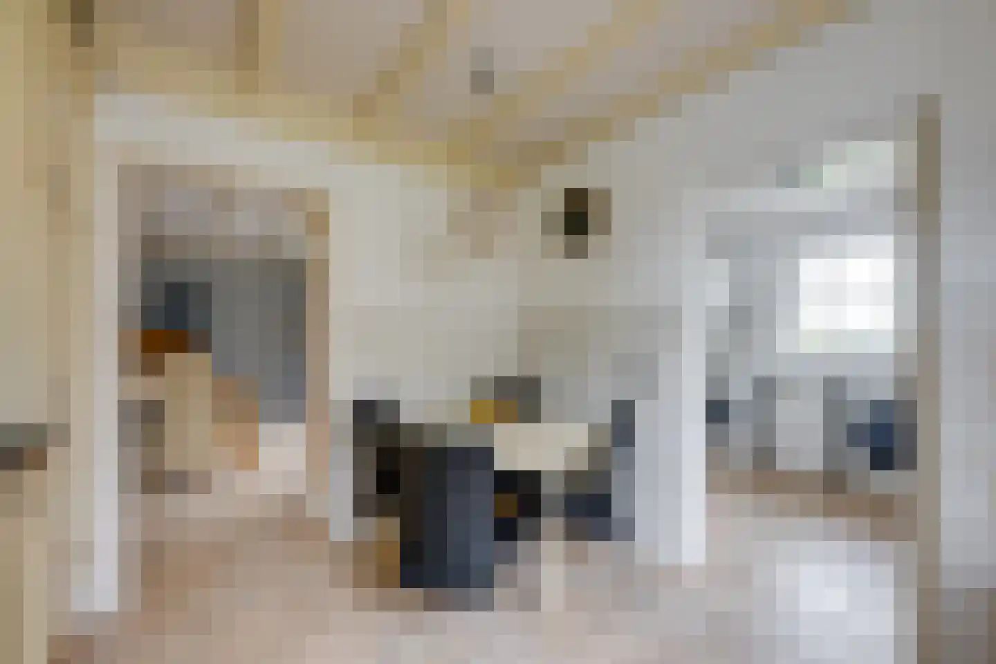 De Reyt 4 Biezenmortel thumbnail 21
