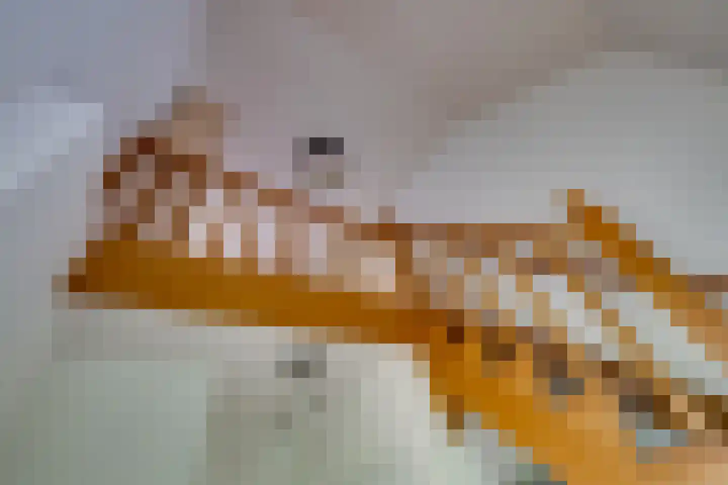 De Reyt 4 Biezenmortel thumbnail 24