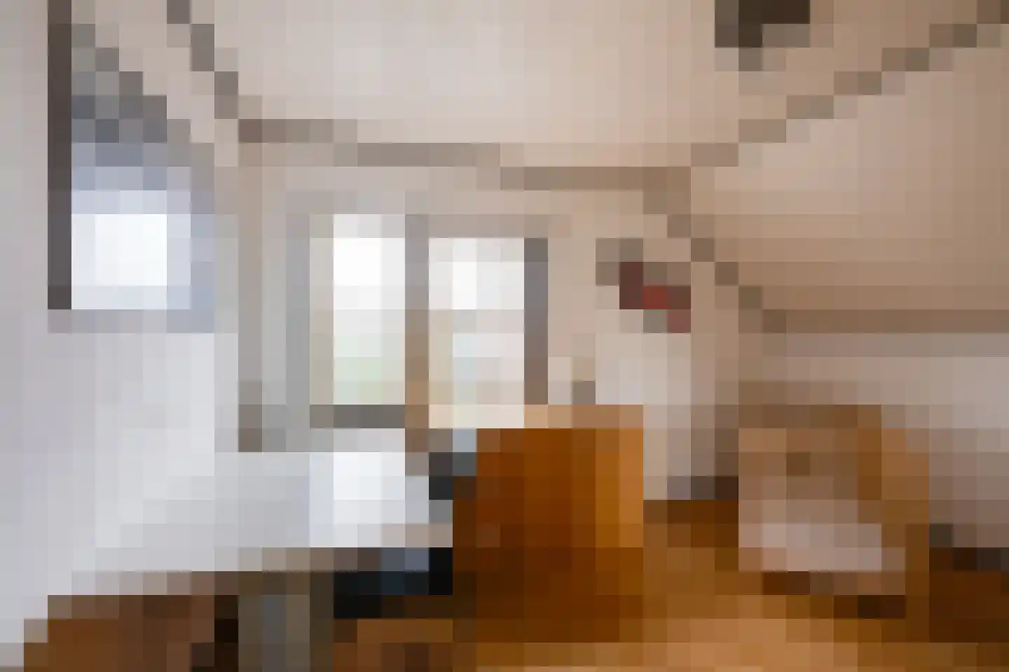 De Reyt 4 Biezenmortel thumbnail 33
