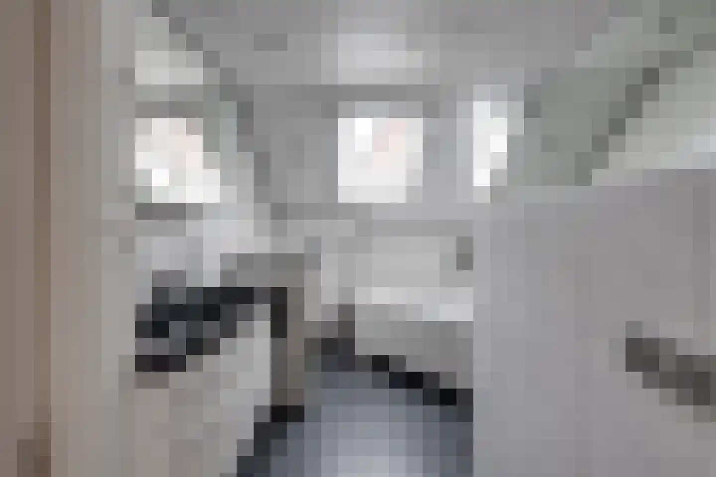 De Reyt 4 Biezenmortel thumbnail 38