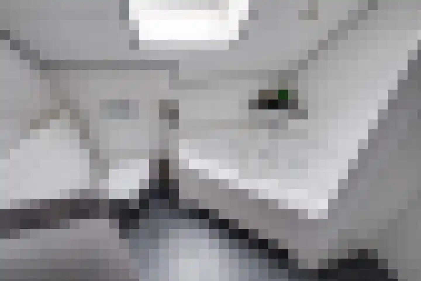 De Reyt 4 Biezenmortel thumbnail 39