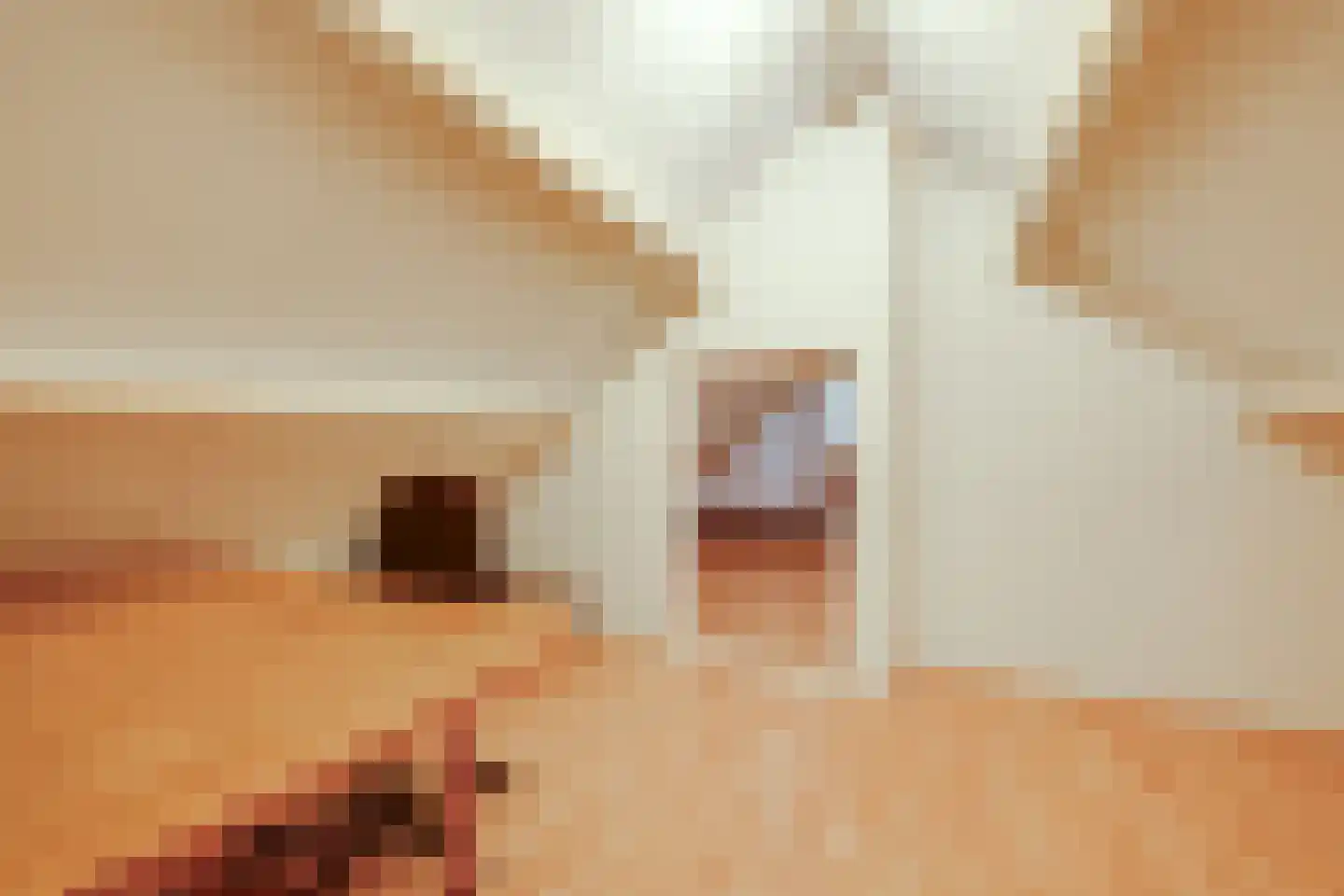 De Reyt 4 Biezenmortel thumbnail 44