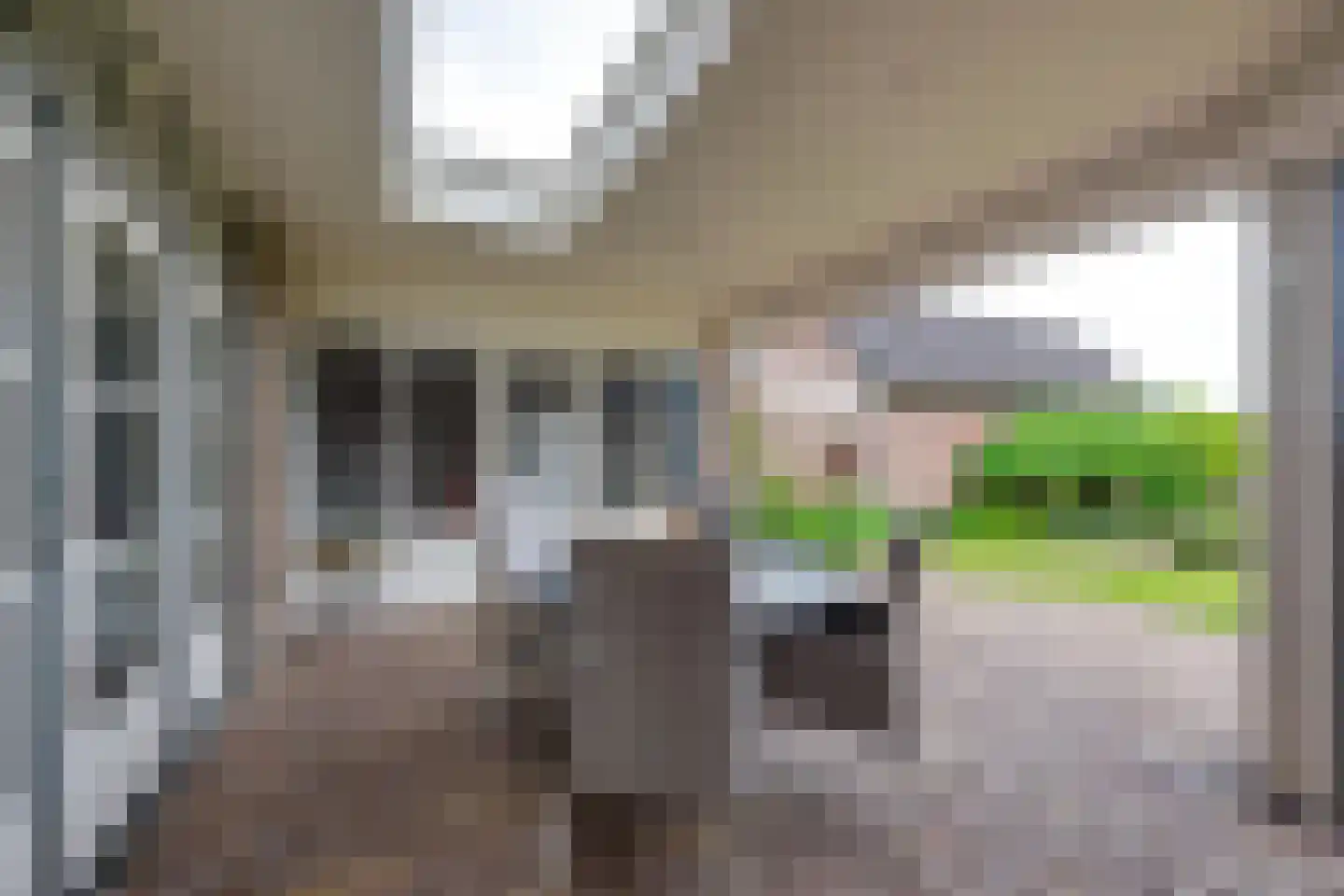 De Reyt 4 Biezenmortel thumbnail 46