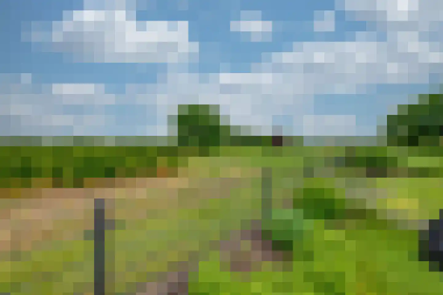De Reyt 4 Biezenmortel thumbnail 5