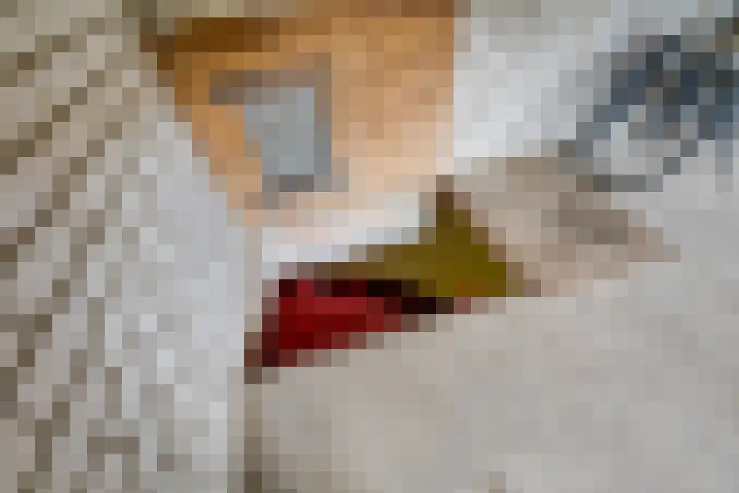 De Reyt 4 Biezenmortel thumbnail 63