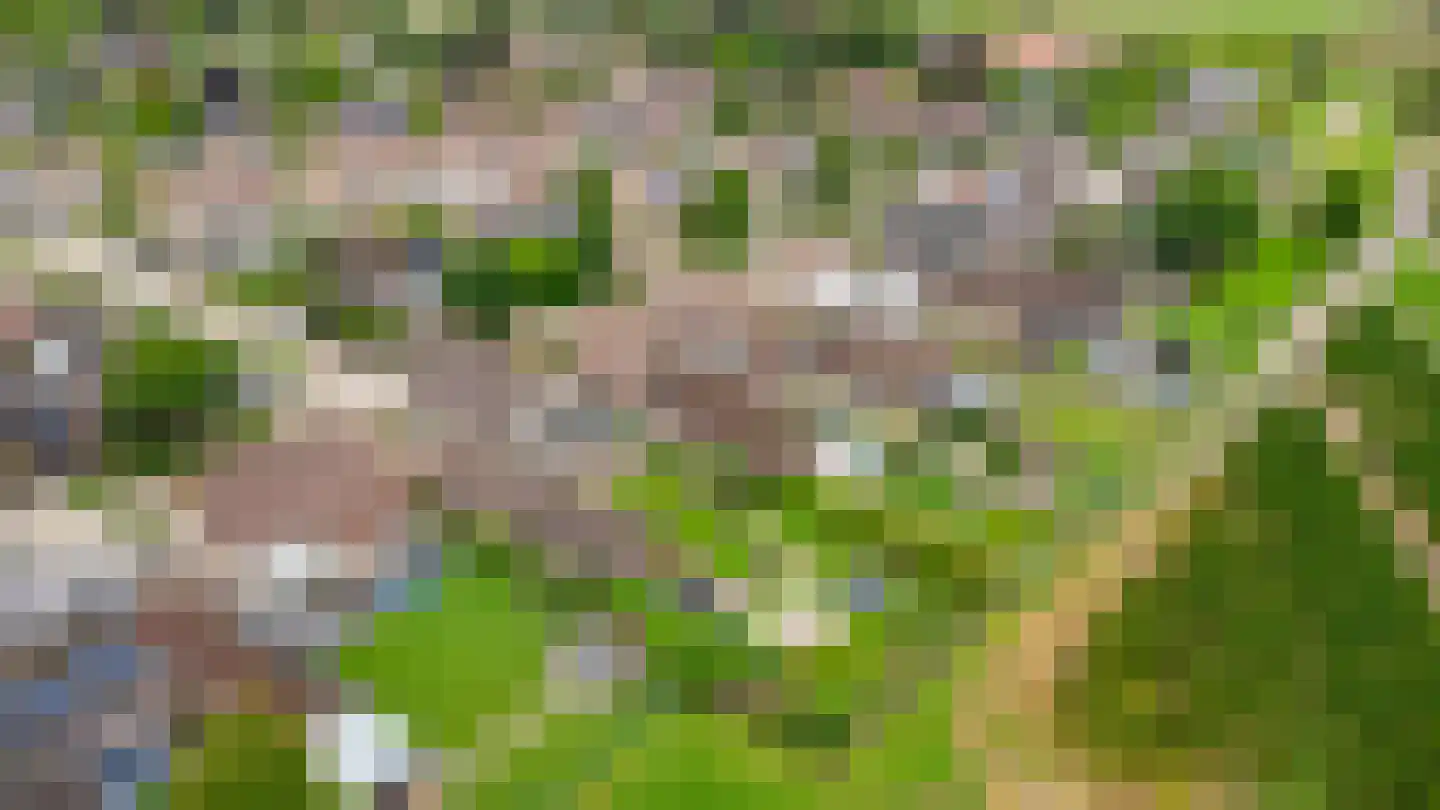 De Reyt 4 Biezenmortel thumbnail 67