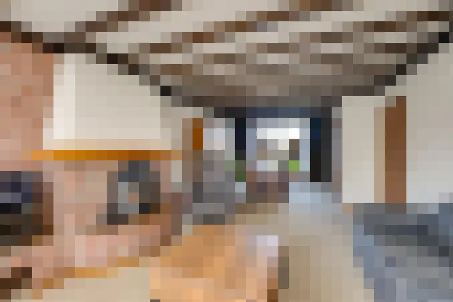 De Reyt 6 Biezenmortel thumbnail 13