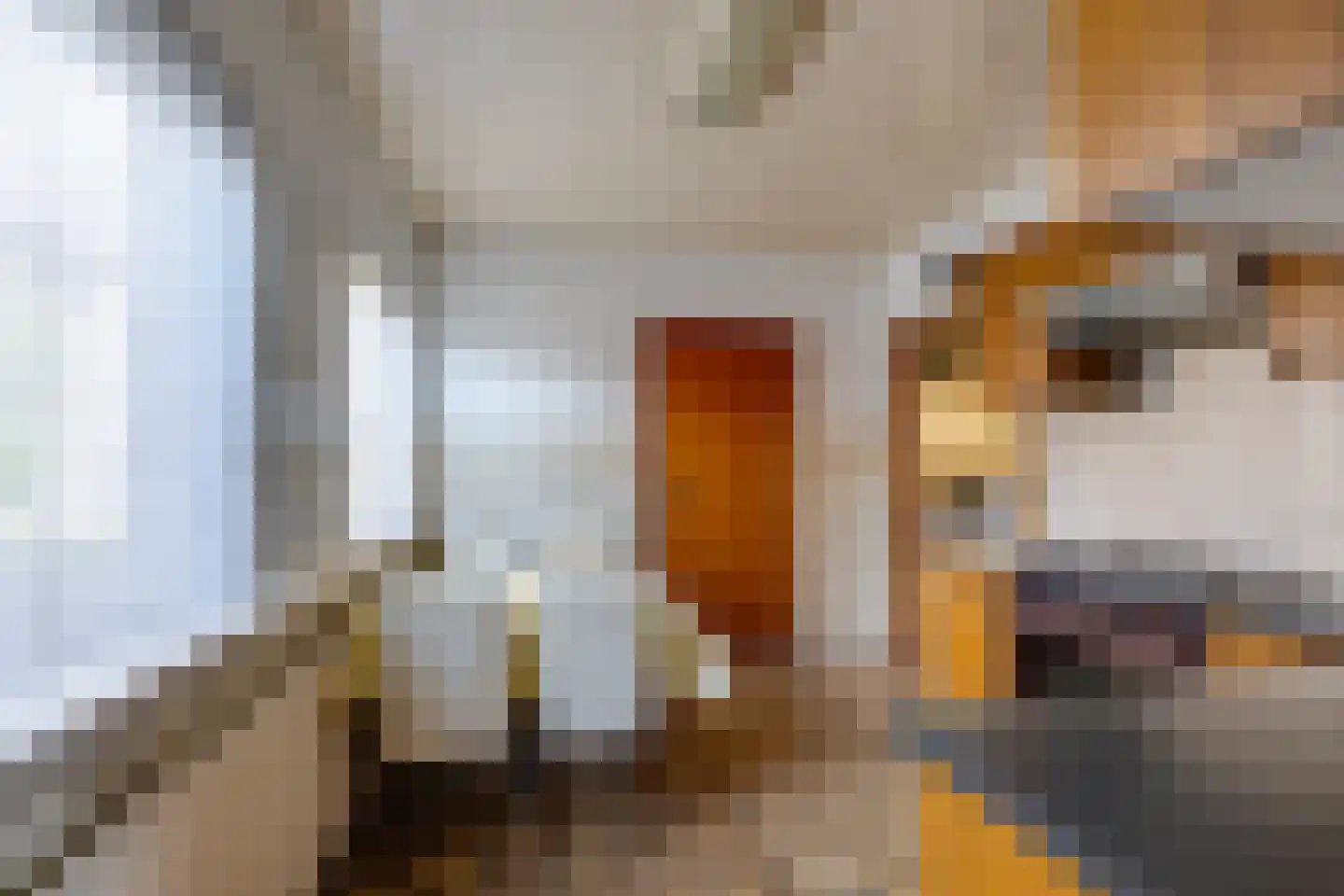 De Reyt 6 Biezenmortel thumbnail 19