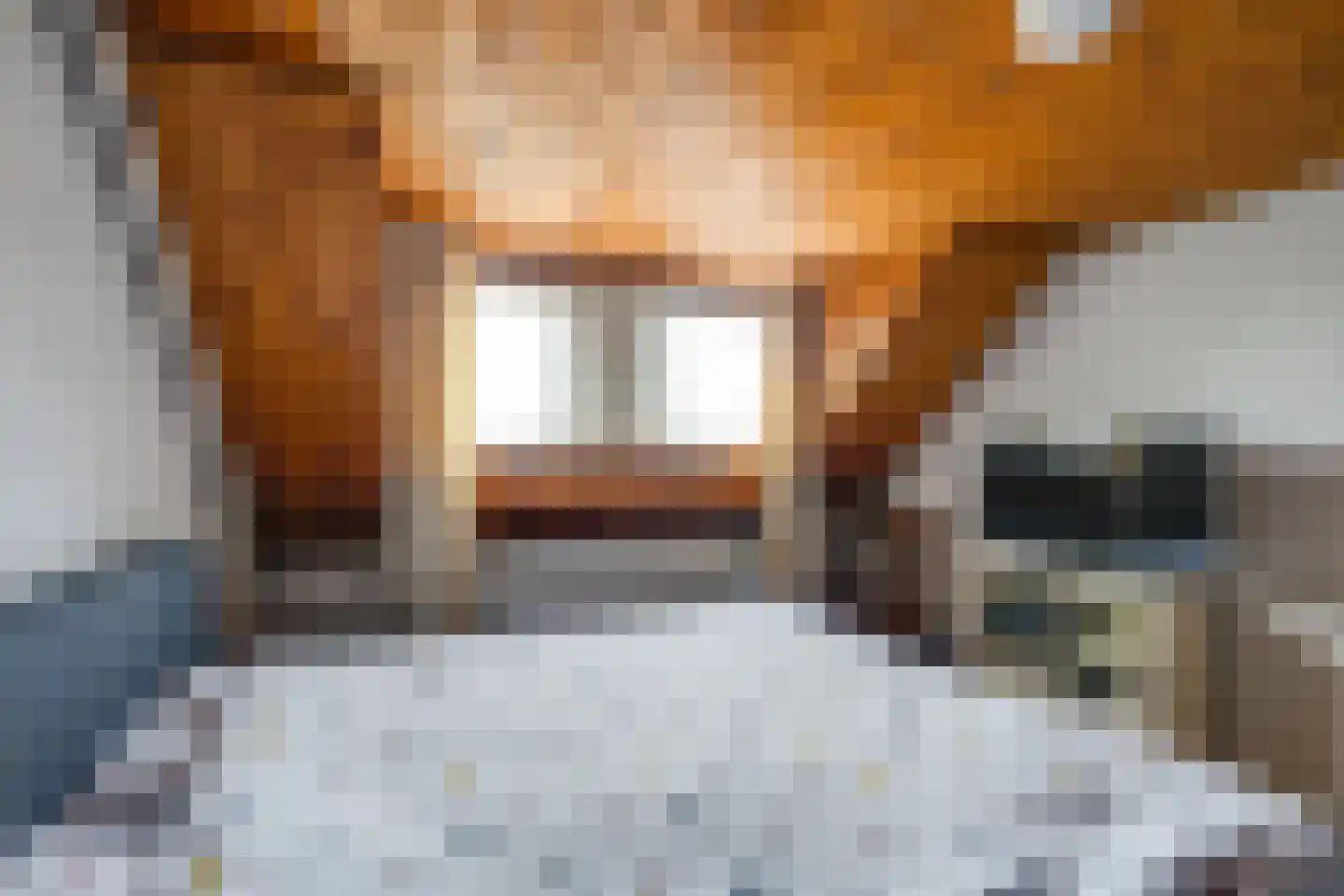 De Reyt 6 Biezenmortel thumbnail 25