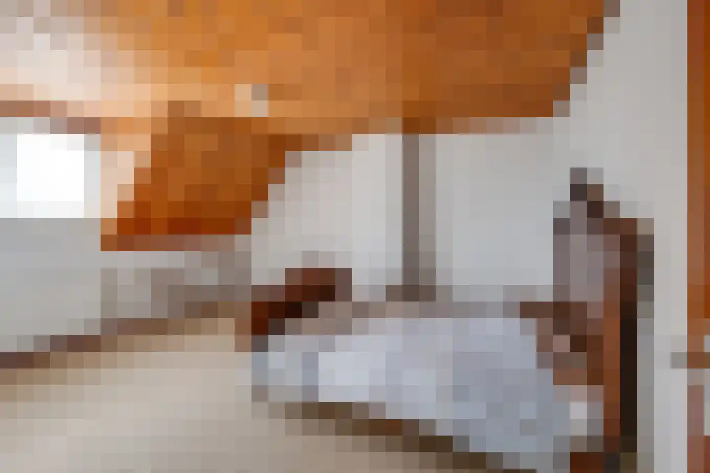 De Reyt 6 Biezenmortel thumbnail 26