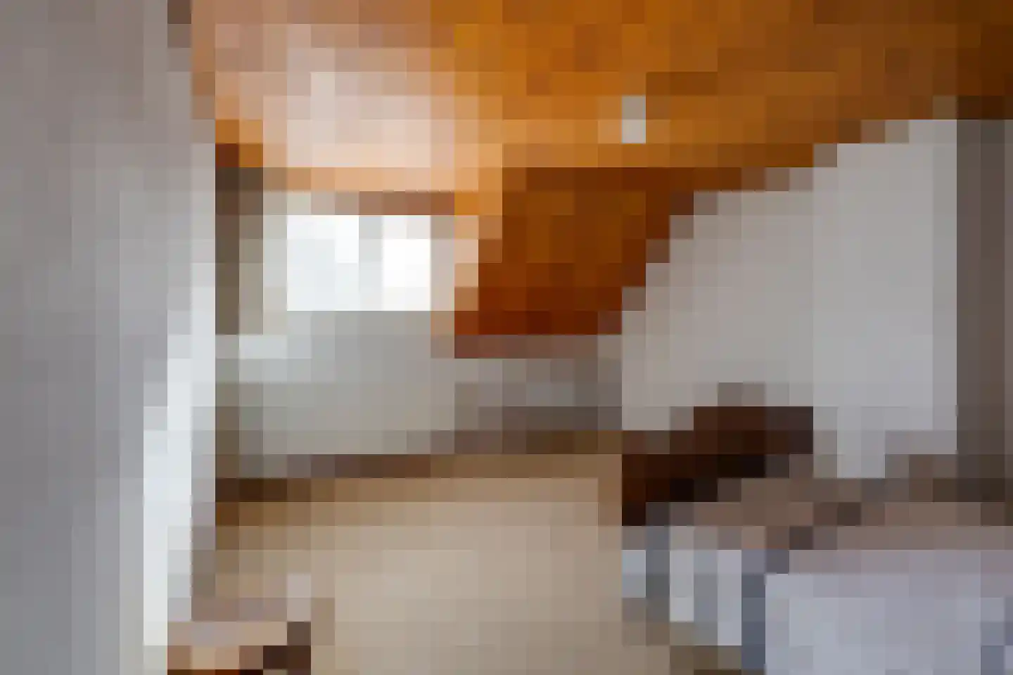 De Reyt 6 Biezenmortel thumbnail 27
