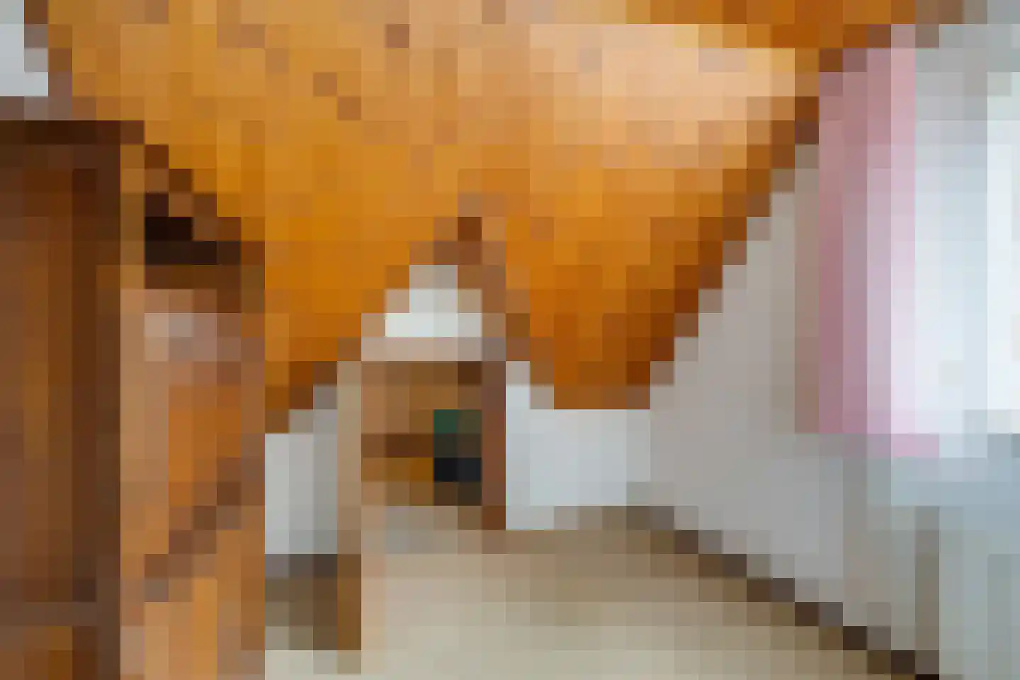 De Reyt 6 Biezenmortel thumbnail 31