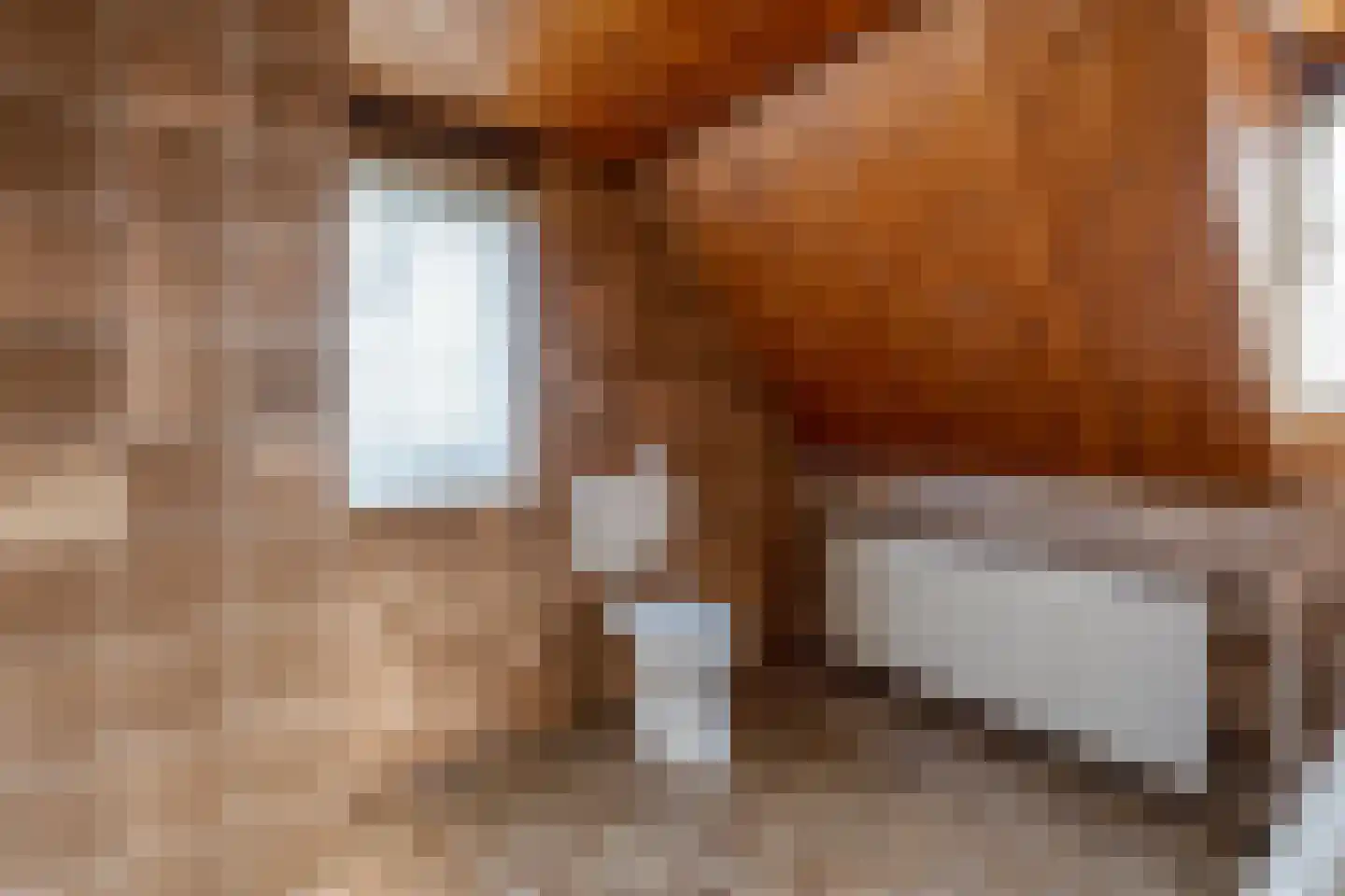 De Reyt 6 Biezenmortel thumbnail 34