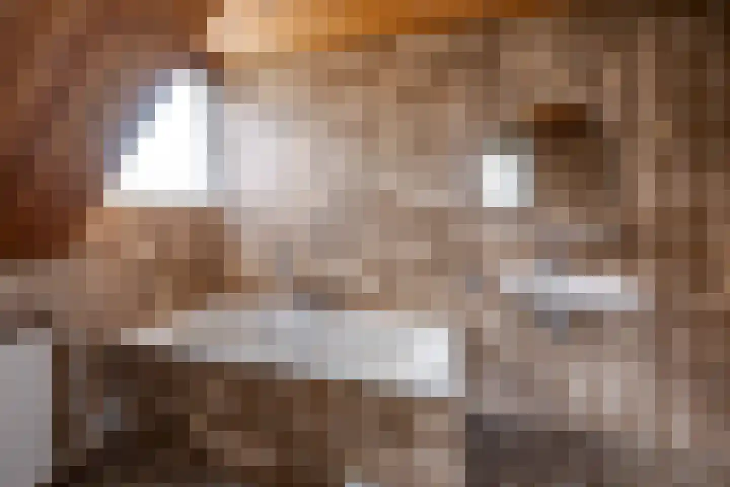 De Reyt 6 Biezenmortel thumbnail 36