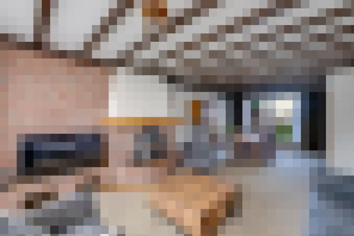 De Reyt 6 Biezenmortel thumbnail 4