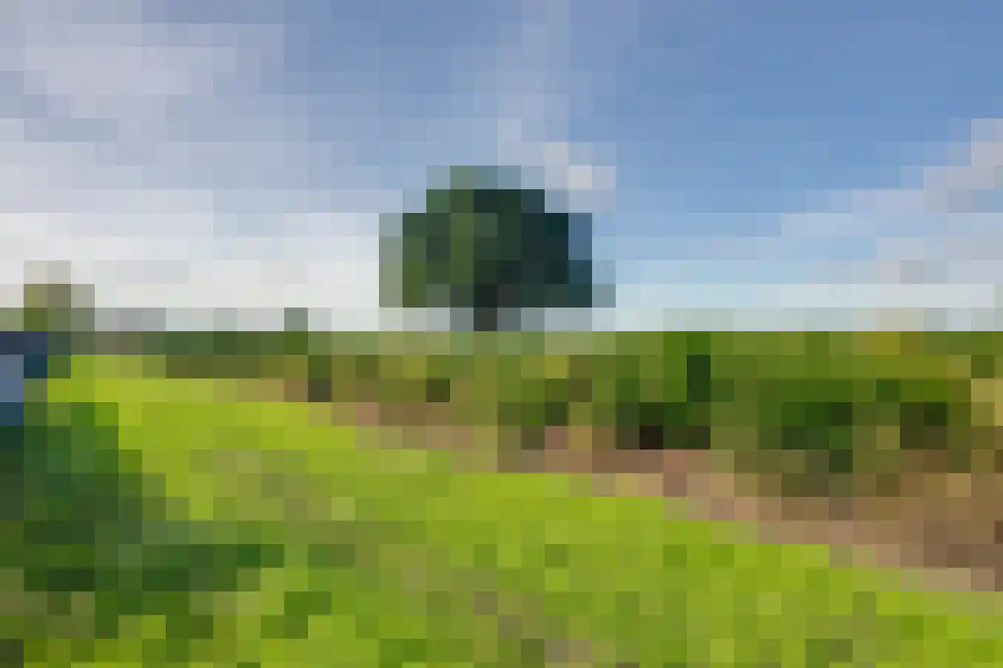 De Reyt 6 Biezenmortel thumbnail 51