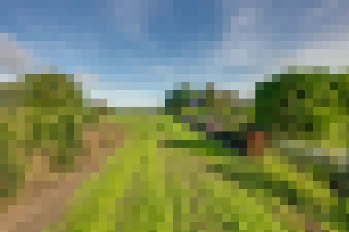 De Reyt 6 Biezenmortel thumbnail 52
