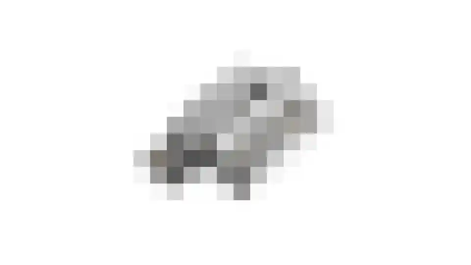 De Reyt 6 Biezenmortel thumbnail 64