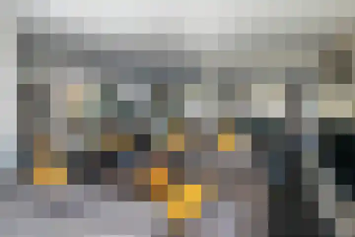 De Rhijenhof 13 A Den Haag thumbnail 10