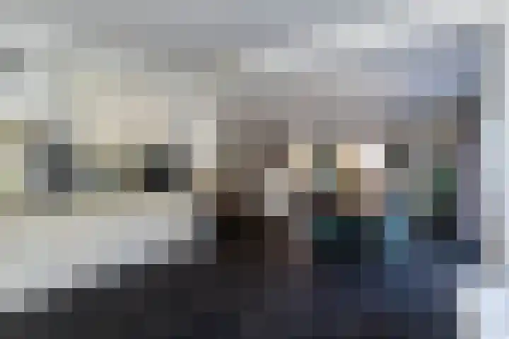 De Rhijenhof 13 A Den Haag thumbnail 16
