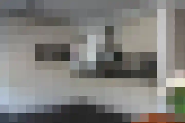 De Rhijenhof 13 A Den Haag thumbnail 18