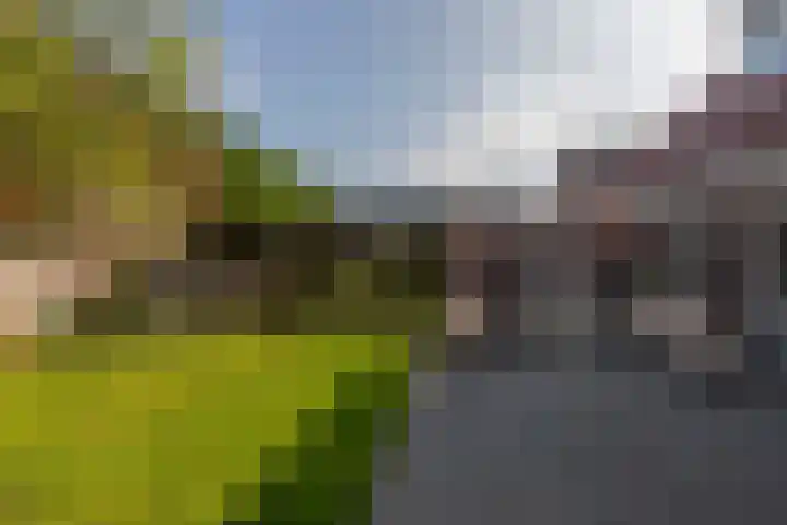 De Rhijenhof 13 A Den Haag thumbnail 19