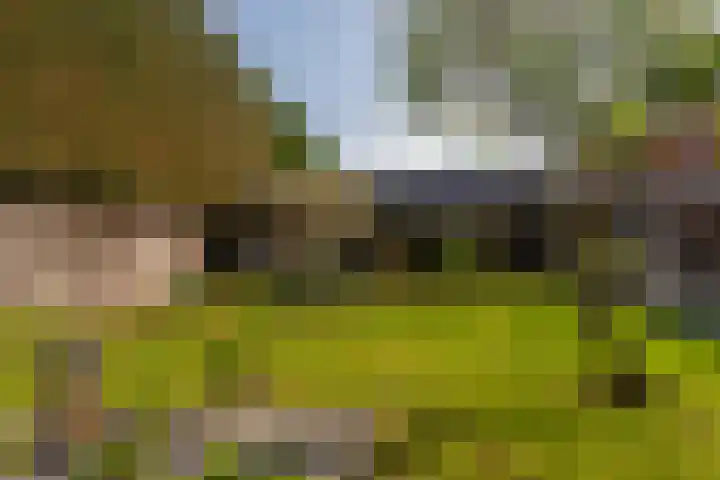 De Rhijenhof 13 A Den Haag thumbnail 20