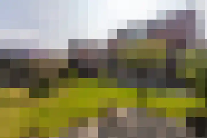 De Rhijenhof 13 A Den Haag thumbnail 21