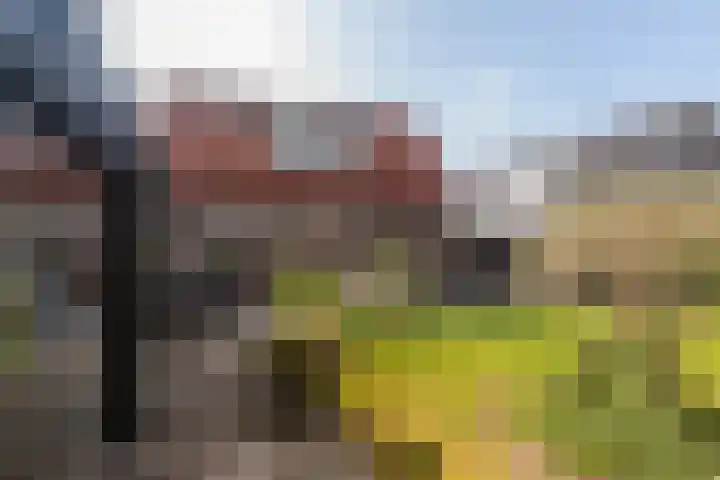 De Rhijenhof 13 A Den Haag thumbnail 22
