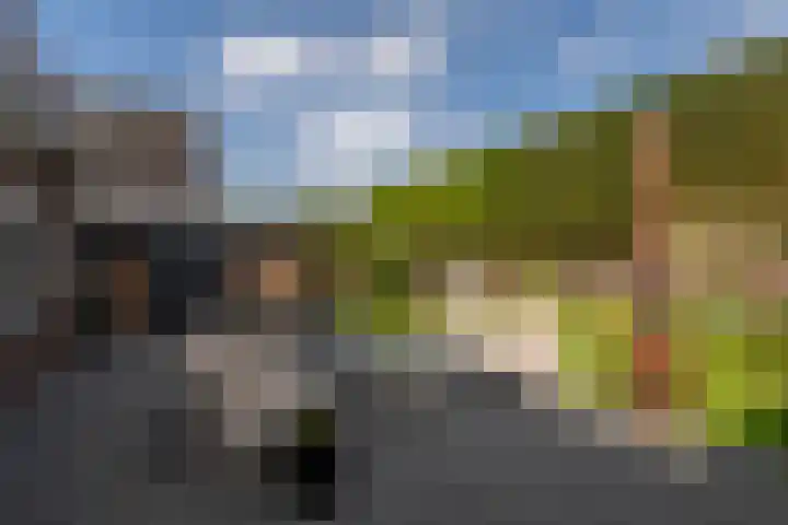 De Rhijenhof 13 A Den Haag thumbnail 27