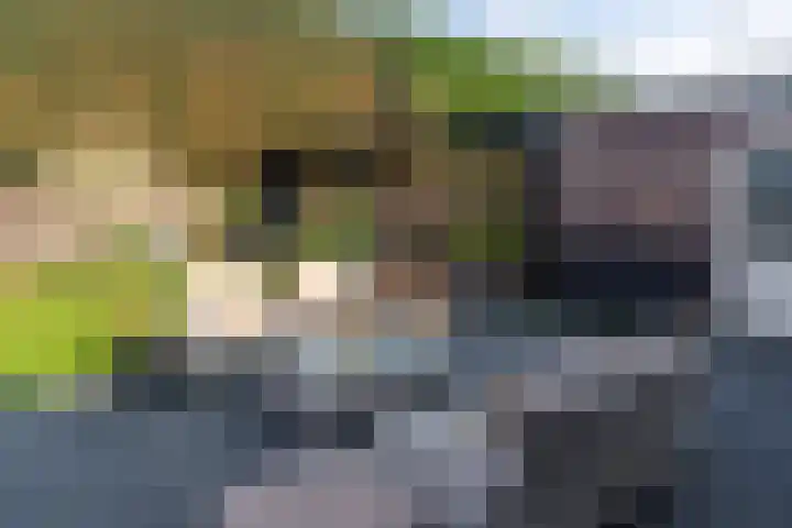 De Rhijenhof 13 A Den Haag thumbnail 4