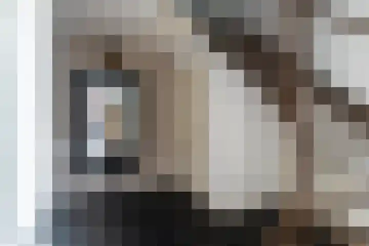 De Rhijenhof 13 A Den Haag thumbnail 6