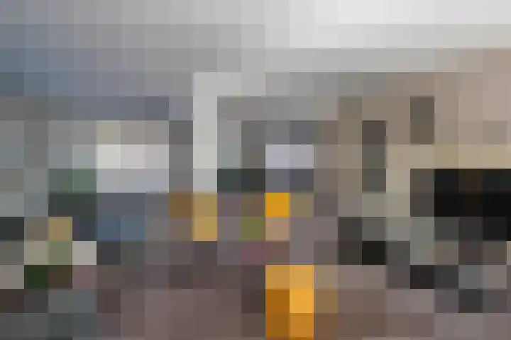 De Rhijenhof 13 A Den Haag thumbnail 7